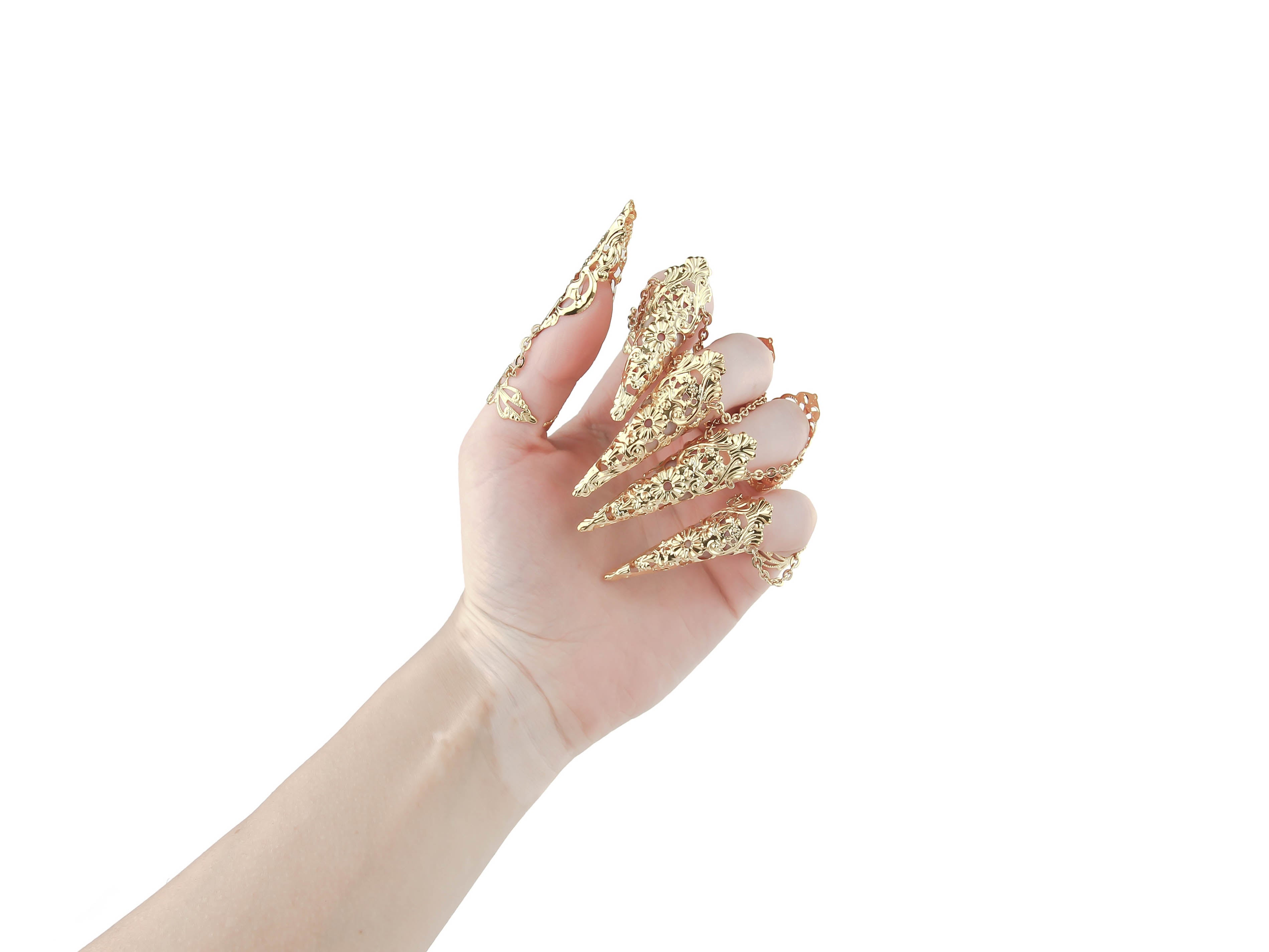 Volle Fingerkrallen ASHE