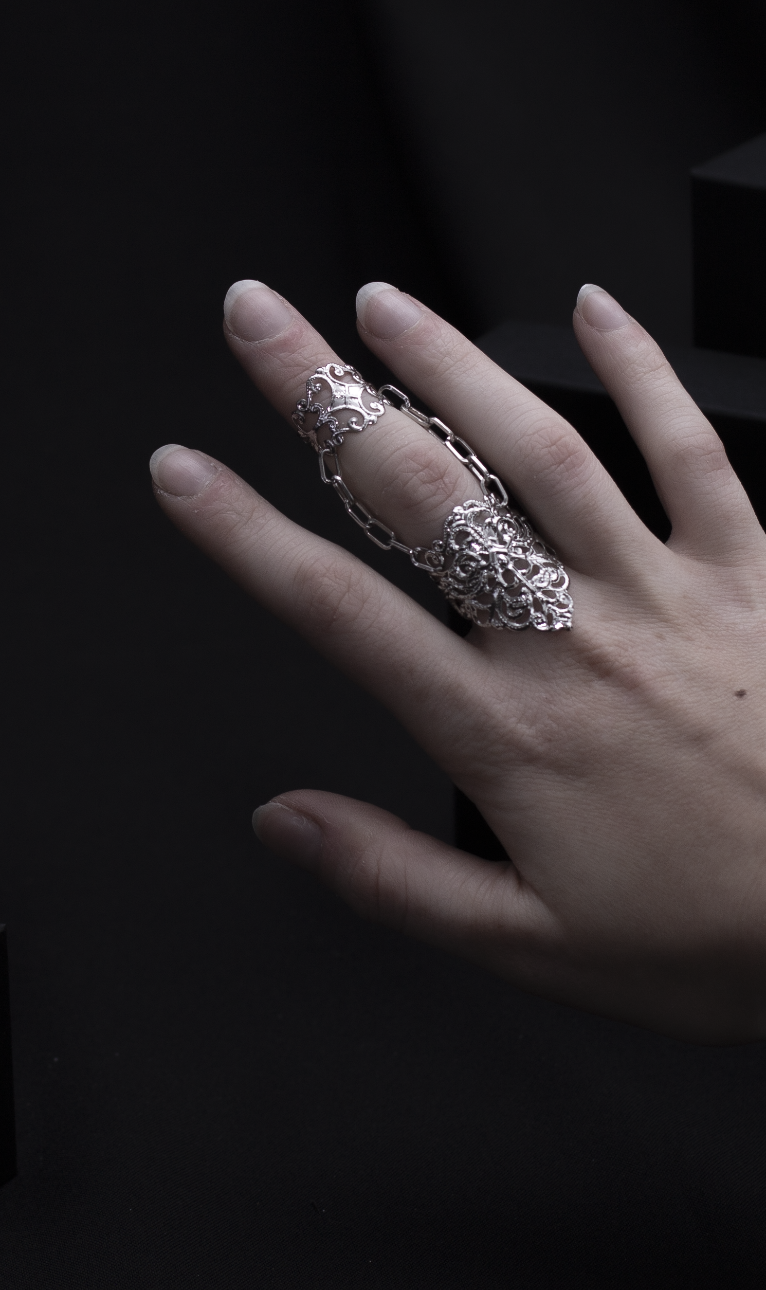A hand showcases a Myril Jewels gothic double ring with elaborate detailing, embodying a dark, avant-garde style. This bold jewelry piece, perfect for minimal goth enthusiasts, can be a statement piece for festival wear or a unique goth girlfriend gift, infused with the essence of witchcore and whimsigoth trends.